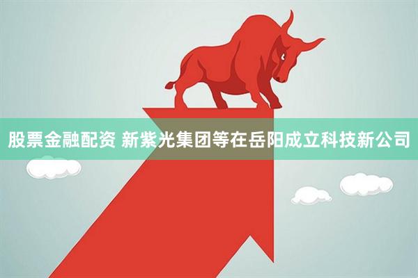 股票金融配资 新紫光集团等在岳阳成立科技新公司