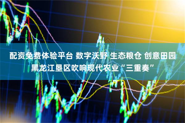 配资免费体验平台 数字沃野 生态粮仓 创意田园黑龙江垦区吹响现代农业“三重奏”